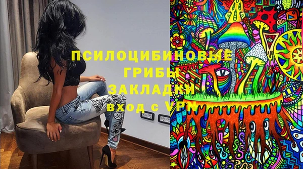 соль ск Алексин