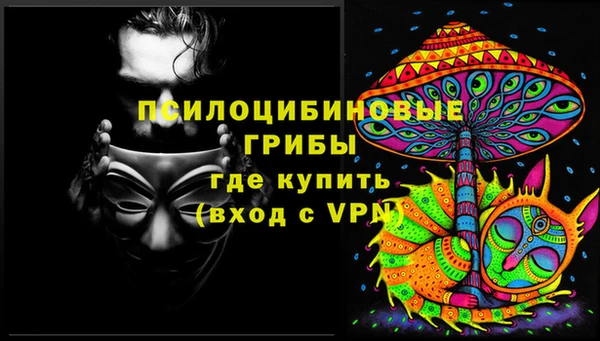 ешки Алексеевка