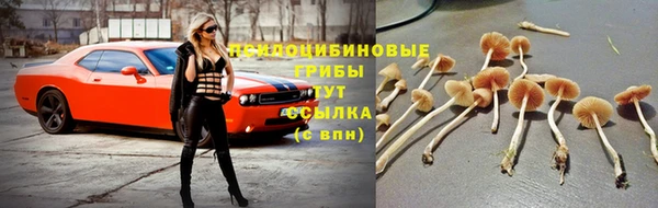 соль ск Алексин