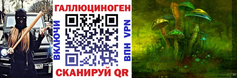 купить наркотики цена  Красногорск  Псилоцибиновые грибы GOLDEN TEACHER 